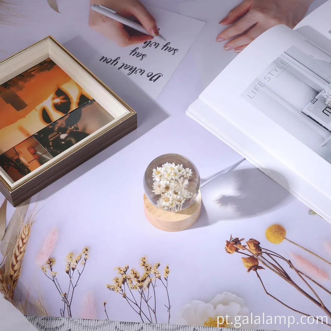 Luz noturna eterna da flor, o presente que nunca murcha